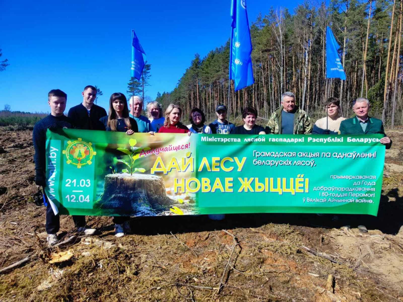 Лес и природа